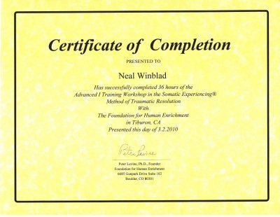 16 - Somatic Experiencing - Advanced I - 3-2-10