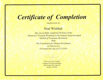 17 - Somatic Experiencing - Advanced I - 5-11-10