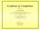 10 - Somatic Experiencing - Beginning I