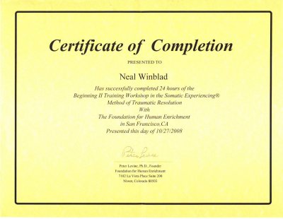 11 - Somatic Experiencing - Beginning II